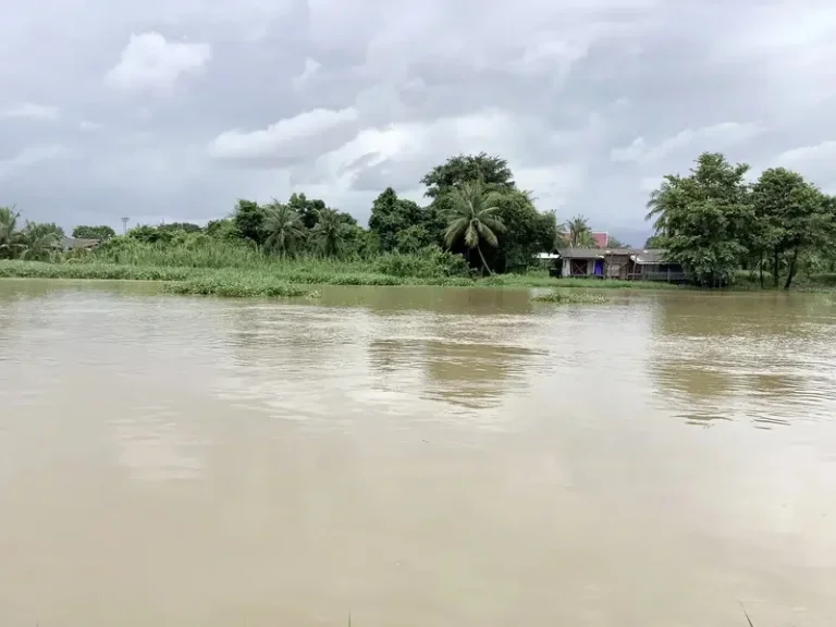 ขายที่ดินติดแม่น้ำ 8 ไร่ 1 งาน ร่มรื่น อากาศดี อำเภอบ้านสร้าง จังหวัดปราจีนบุรี