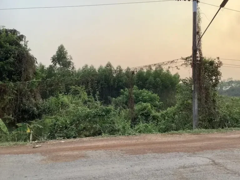 ขายที่ดินติดแม่น้ำปราจีนบุรี 18 ไร่ บรรยากาศดี อำเภอศรีมหาโพธิ จังหวัดปราจีนบุรี