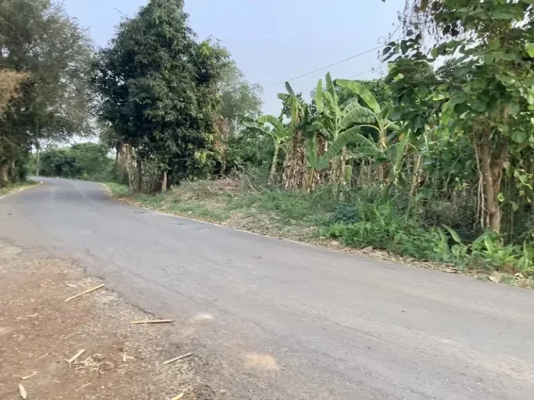 ขายที่ดินติดแม่น้ำปราจีนบุรี 18 ไร่ บรรยากาศดี อำเภอศรีมหาโพธิ จังหวัดปราจีนบุรี