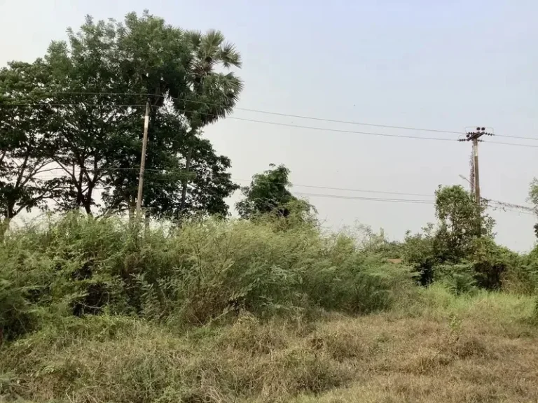 ขายที่ดินติดแม่น้ำปราจีนบุรี 18 ไร่ บรรยากาศดี อำเภอศรีมหาโพธิ จังหวัดปราจีนบุรี