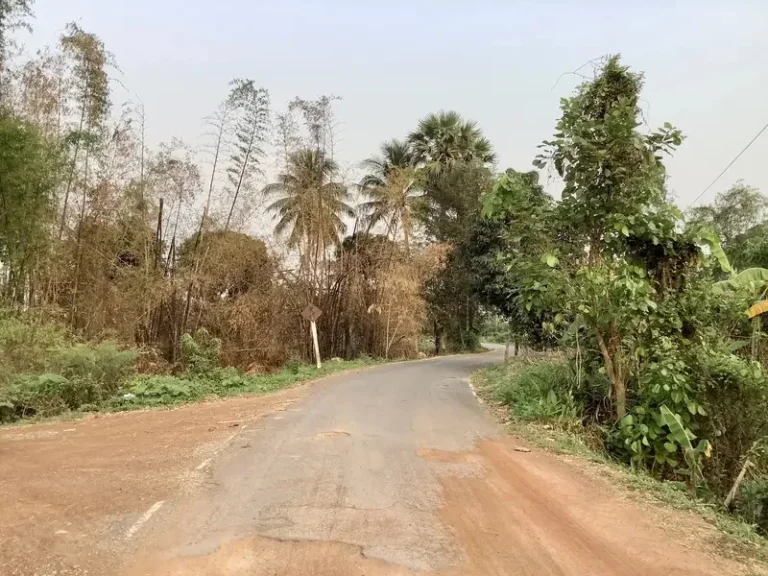 ขายที่ดินติดแม่น้ำปราจีนบุรี 18 ไร่ บรรยากาศดี อำเภอศรีมหาโพธิ จังหวัดปราจีนบุรี