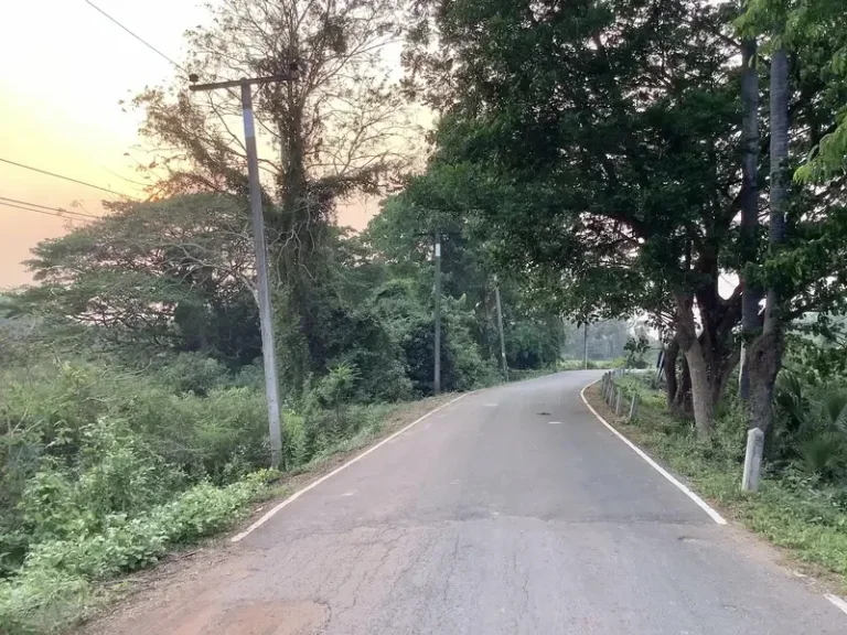 ขายที่ดินติดแม่น้ำปราจีนบุรี 18 ไร่ บรรยากาศดี อำเภอศรีมหาโพธิ จังหวัดปราจีนบุรี