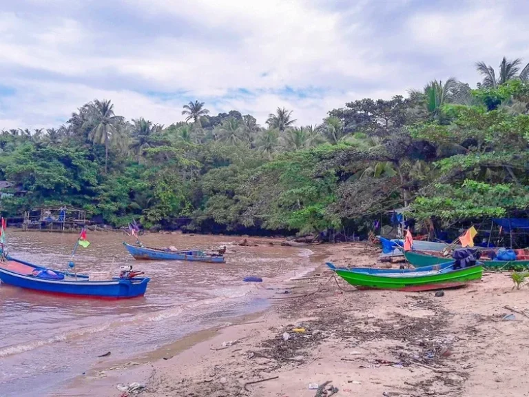 ขายที่ดินติดทะเล ตำบลหาดเล็ก อำเภอคลองใหญ่ จังหวัดตราด