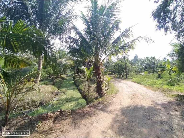 ขาย ที่ดิน 15 ไร่ เหมืองใหม่ อัมพวา สมุทรสงคราม ร่องสวนผสม มีไฟฟ้าประปา เหมาะปลูกบ้านสวน