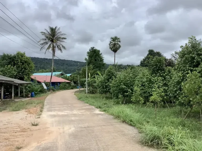 ขายที่ดิน 2 ไร่ ใกล้เขาวิวสวย อากาศดีปราจีนบุรี อำเภอเมืองปราจีนบุรี