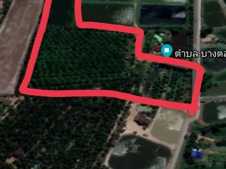 ขายที่ดิน ใกล้วัดสมานรัตนาราม อำเภอบางคล้า จังหวัดฉะเชิงเทรา