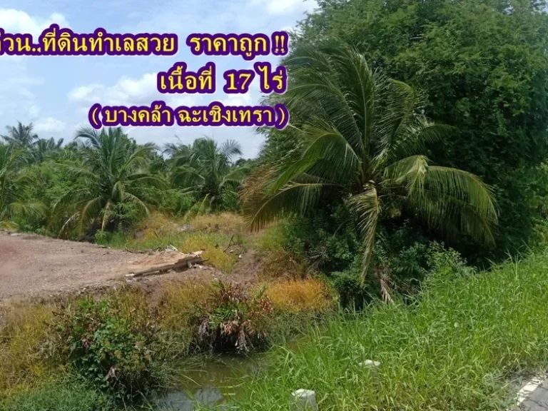 ขายที่ดิน ใกล้วัดสมานรัตนาราม อำเภอบางคล้า จังหวัดฉะเชิงเทรา