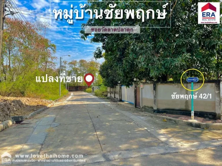 ขายที่ดิน มชัยพฤกษ์ ถวัดลาดปลาดุก อยู่ใกล้วงแหวนกาญจนาภิเษก พื้นที่126ตรว รูปทรงแปลงสวย เหมาะสำหรับปลูสร้างบ้านพักอาศัย