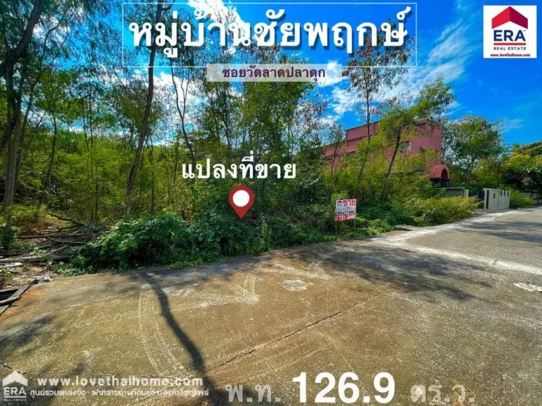 ขายที่ดิน มชัยพฤกษ์ ถวัดลาดปลาดุก อยู่ใกล้วงแหวนกาญจนาภิเษก พื้นที่126ตรว รูปทรงแปลงสวย เหมาะสำหรับปลูสร้างบ้านพักอาศัย