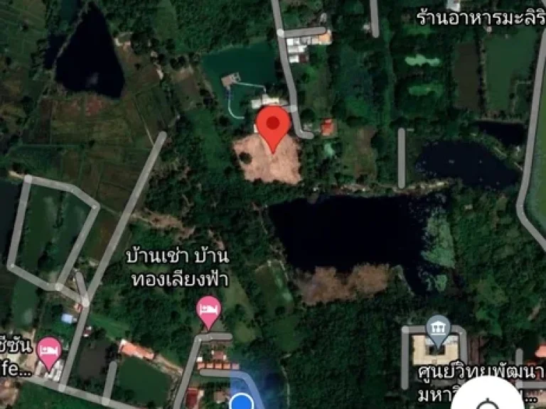 ขายที่ดิน เหมาะสำหรับสร้างบ้านสวน รีสอร์ท เจ้าของขายเองค่ะ