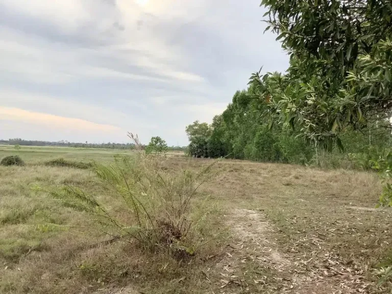 ขายที่ดิน 9 ไร่ 3 งาน ใกล้แหล่งชุมชน อำเภอประจันตคาม จังหวัดปราจีนบุรี