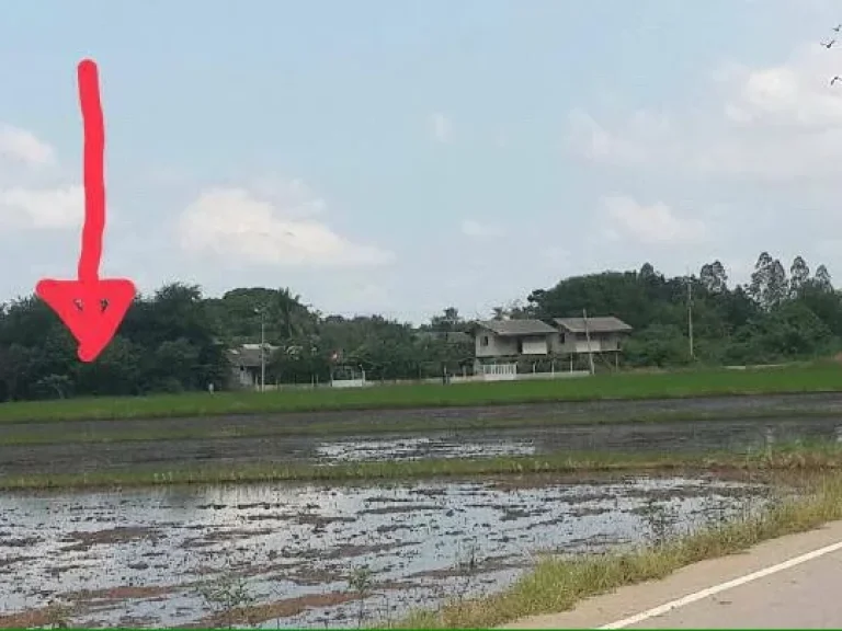 ขายที่ดินโฉนดครุฑแดงราคาถูก สามชุก จังหวัดสุพรรณบุรี