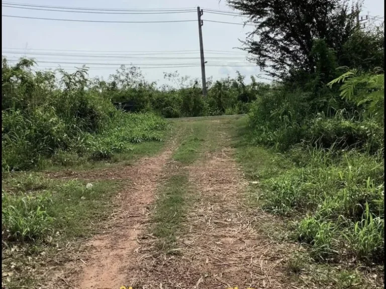 ขายที่ดินติดถนน เจ้าของขายเอง ติดหาดแม่พิมพ์เพียง 400 เมตร จังหวัดระยอง