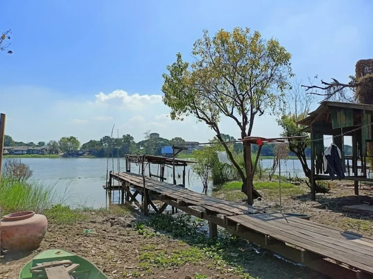 ที่ดินติดแม่น้ำเจ้าพระยา รหัสทรัพย์ บป025 ที่ดินในเขตเกาะเกิด อบางปะอิน อยุธยา เนื้อที่ 292 ตรว ได้เนื้อที่งอกเยอะ