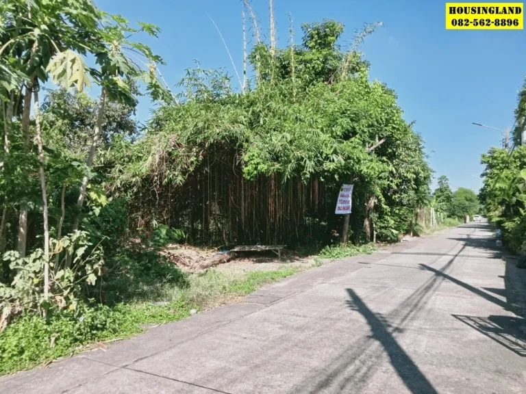 ขายที่ดินแนวรถไฟฟ้าคูคต ซอยจามร กแปลง1 ลำลูกกา ปทุมธานี