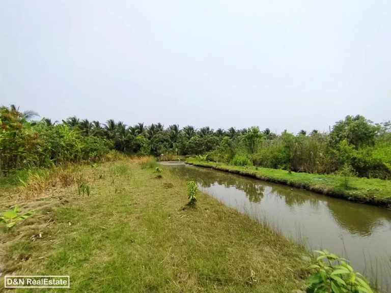 ขาย ที่ดิน 5 ไร่ หนองสองห้อง บ้านแพ้ว สมุทรสาคร ร่องสวน ติดถนนทางหลวง 8 เมตร น้ำไฟพร้อม