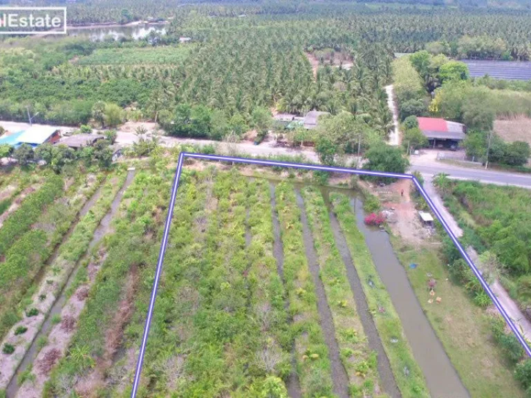 ขาย ที่ดิน 5 ไร่ หนองสองห้อง บ้านแพ้ว สมุทรสาคร ร่องสวน ติดถนนทางหลวง 8 เมตร น้ำไฟพร้อม