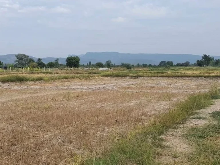 ที่ดินดงมะรุมติดคลองวิวภูเขาสวยงดงาม โฉนดครุฑแดง 305 ไร่ พิเศษยกแปลงไร่ละ 13 สบ฿