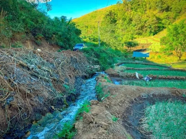 ขายที่นาขั้นบันไดติดถนนติดลำธารน้ำแม่แจ่มท่าผ่าเอกสาร นส3