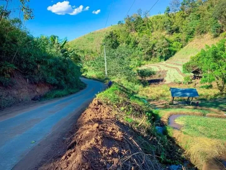 ขายที่นาขั้นบันไดติดถนนติดลำธารน้ำแม่แจ่มท่าผ่าเอกสาร นส3