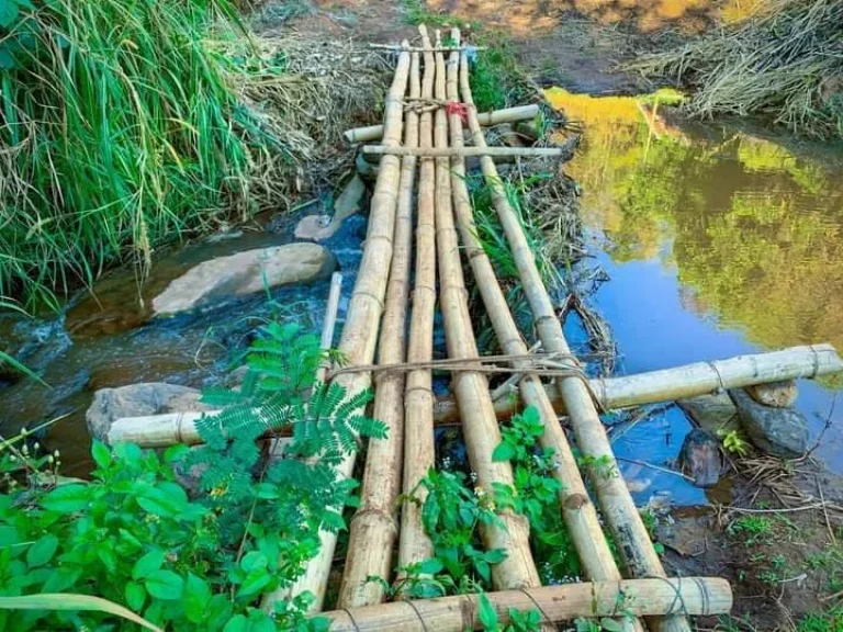 ขายที่นาขั้นบันไดติดถนนติดลำธารน้ำแม่แจ่มท่าผ่าเอกสาร นส3