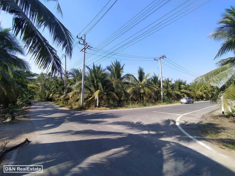 ขาย ที่ดิน 29 ไร่ สวนมะพร้าว ยี่สาร อัมพวา สมุทรสงคราม ใกล้วัดสี่แยก ติดถนนลาดยาง ติดคลอง เหมาะลงทุน