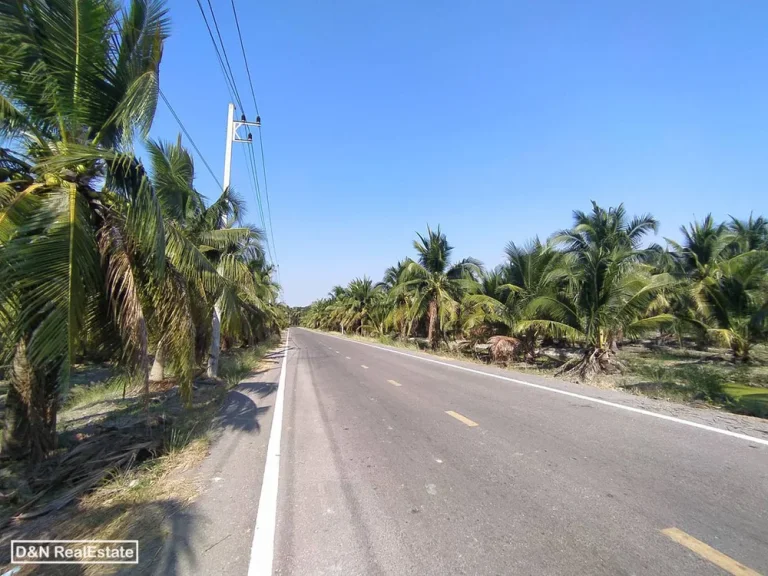 ขาย ที่ดิน 29 ไร่ สวนมะพร้าว ยี่สาร อัมพวา สมุทรสงคราม ใกล้วัดสี่แยก ติดถนนลาดยาง ติดคลอง เหมาะลงทุน