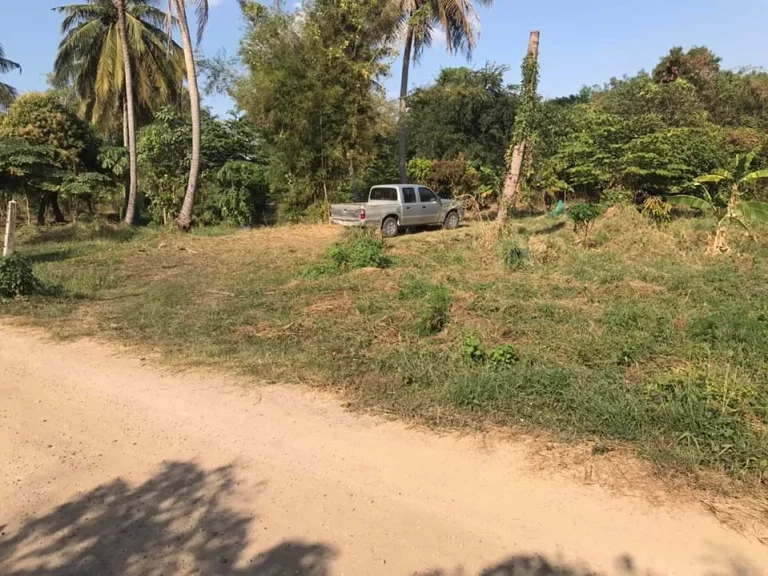 ที่ดินแบ่งขาย200ตรวขาย4แสนบาทเฉลิมพระเกียรติสระบุรี