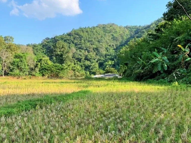 ขายที่ดิน แม่เหียะ เชียงใหม่ 3 ไร่ 1 งาน ติดลำคลอง ลำห้วย วิวทุ่งนา ภูเขา เดินทางสะดวก ไม่ไกลสนามบินและตัวเมือง