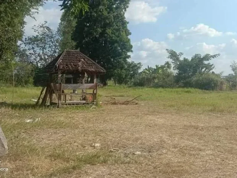 ขายที่ดินดอยสะเก็ตหลังตลาดแม่คือ ถนนคอนกรีต วิวทุ่งนา พร้อมโอน