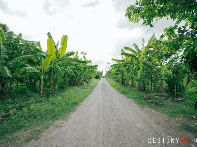 ขายที่ดิน 2 ไร่ ซอย เอราวัณ 25 คลองหลวง ธัญบุรี ปทุมธานี ถมแล้ว ใกล้ ตลาดไท