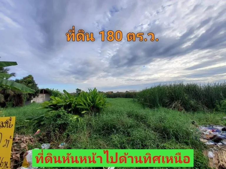 ขายด่วน ที่ดินคลองสาม 180 ตารางวา ติดถนนลาดยางมีไฟฟ้า ประปา คลองสาม ซอย 13 อคลองหลวง