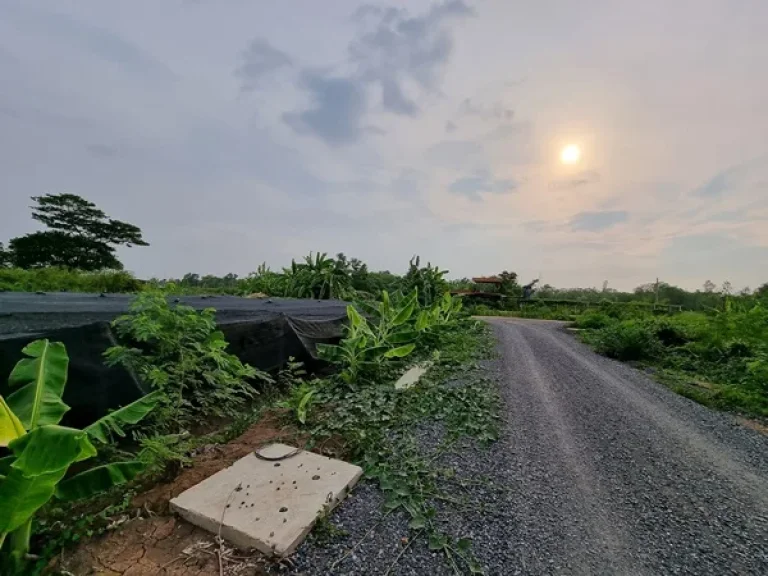 ขายที่ดิน 100 ตรว ซ149 คลองสาม คลองหลวง ปทุมธานี ที่ดินตั้งอยู่ ตคลองสาม อคลองหลวง ปทุมธานี