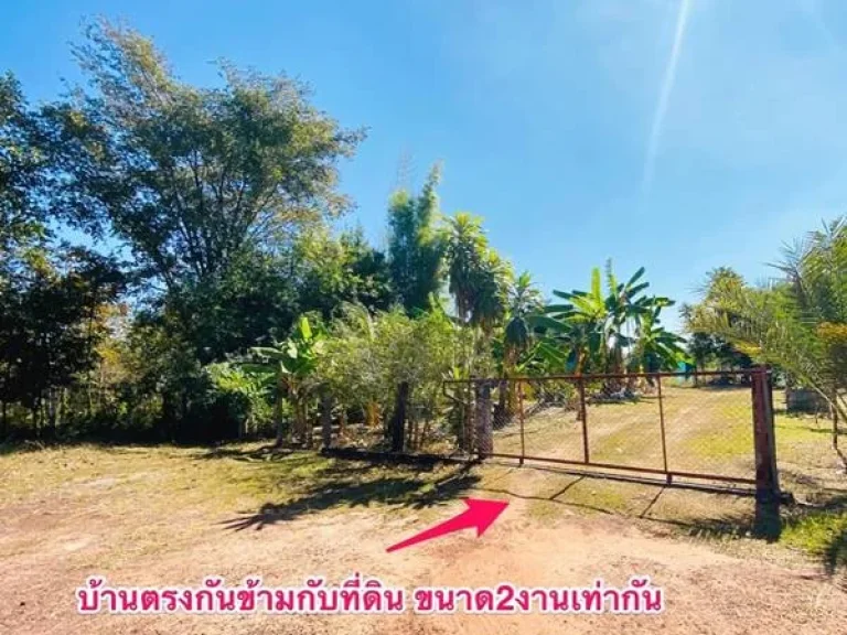 ขายที่ดินเปล่า 2187 ตรวา ใน ซโรงเรียนสอนขับรถ มุกดาหาร ราคาถูกมาก