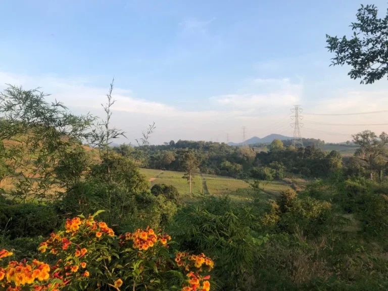 แบ่งขายที่ดินเพชรบุรี หนองหญ้าปล้อง ราคาถูกเจ้าของขายเองเริ่มต้นที่ 200 ตรว