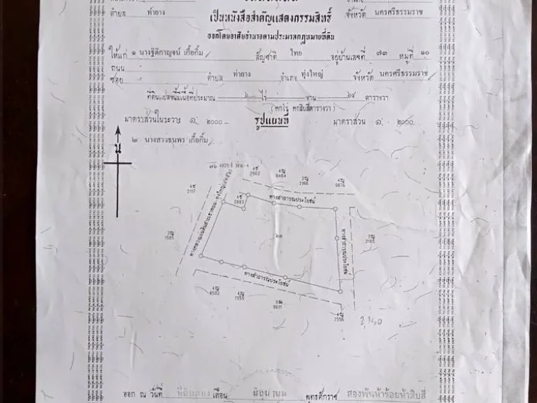 ที่ 6 ไร่ 64 วา หน้ากว้างติดถนน 4 ด้าน ทั้งถนนใหญ่และถนนซอย น้ำไฟพร้อม เยื้ยงโรงแรมทุ่งใหญ่ธานี 2 กมจากใจกลางอำเภอทุงใหญ่ นครศรีธรรมราช