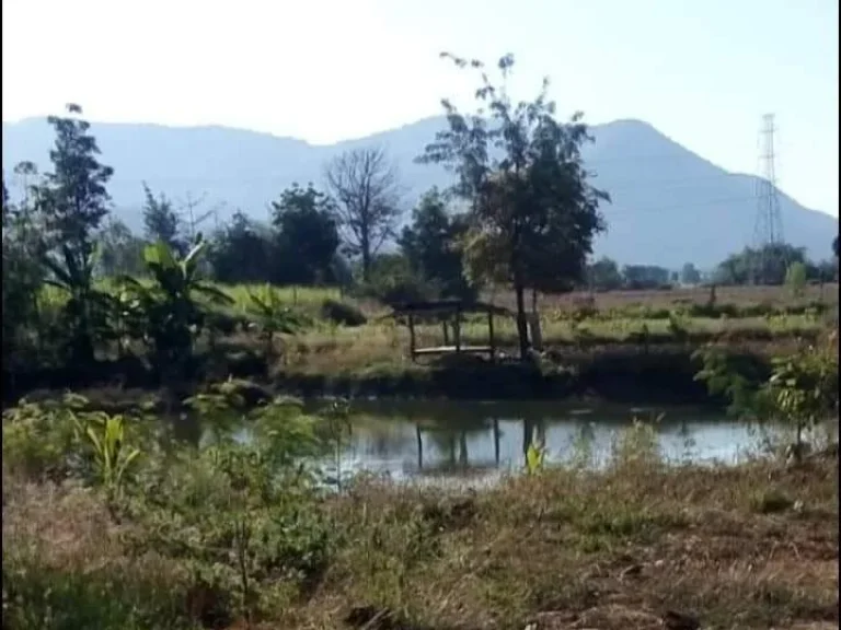 ที่ดินแปลงสวย วิวเขา ติดนา ใกล้ถนนสายหลัก อุตรดิตถ์ ราคาถูก