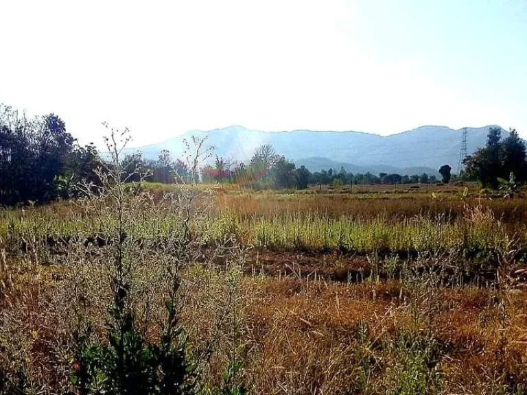 ที่ดินแปลงสวย วิวเขา ติดนา ใกล้ถนนสายหลัก อุตรดิตถ์ ราคาถูก