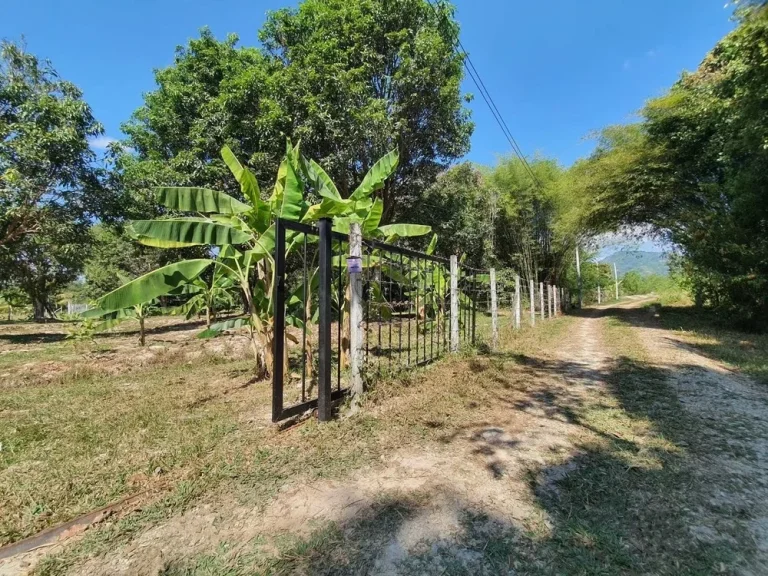 ที่ดินพร้อมสิ่งปลูกสร้าง บ้านสวนในฝัน สำหรับทำเกษตร และการพักผ่อน