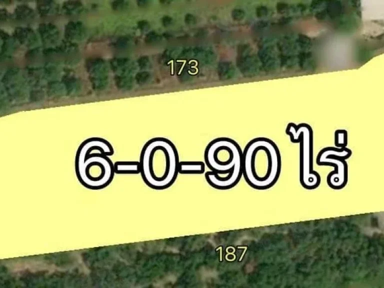 ขายที่ดิน 6-0-90 ไร่ ติดถนนหลัก 108 ขาเข้าเมือง อสันป่าตอง เชียงใหม่