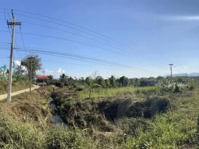 ขายที่ดินติดถนนค้าขายได้ เชียงดาว วิวดอยหลวง พร้อมโอน