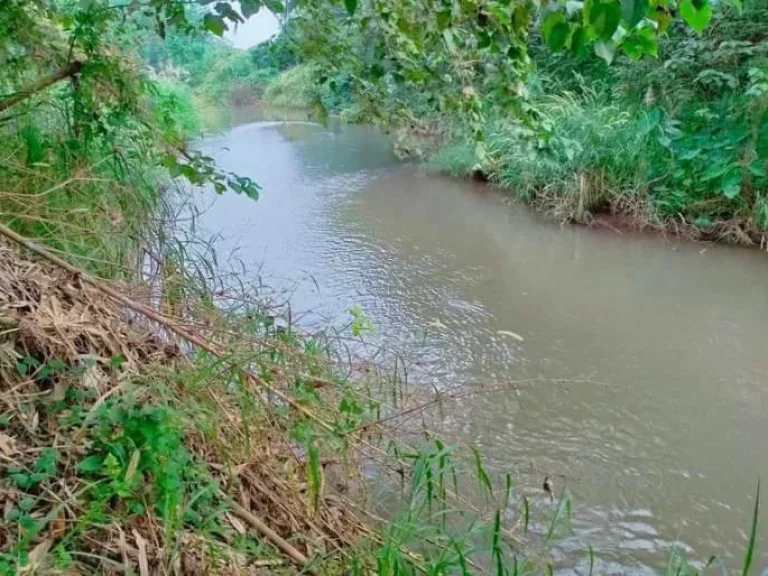 ขายที่ดินหน้าติดถนนวิวดอยหลวงติดน้ำปิงเชียงดาวโฉนด