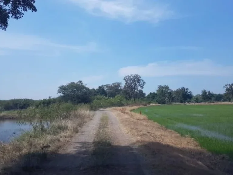 ขาย ที่ดิน 25 ไร่ ตหนองขนาก อท่าเรือ จพระนครศรีอยุธยา