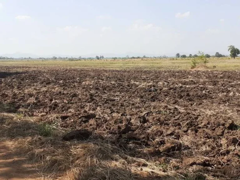 ขายที่ดินเปล่า 1ไร่ พร้อมโฉนดที่ดิน ตกันจุ อบึงสามพัน จเพชรบูรณ์ เคยเป็นมี่ดินจัดสรรมาก่อน เจ้าของขายเอง ใกล้ อบตบึงสามพัน ใกล้แหล่งชุมชน