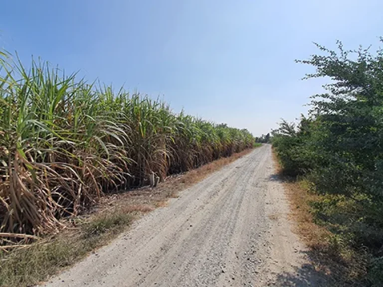 วิวท้องทุ่ง ที่ถมแล้วทั้งแปลง บรรยากาศดีติดทางติดคลองชลส่งน้ำ ใกล้ทางขึ้น-ลงมอเตอร์เวย์ 2ไร่