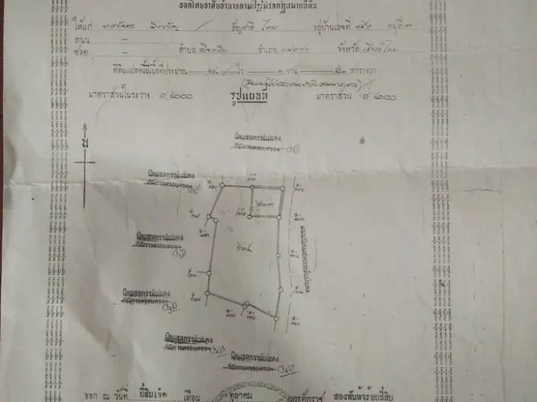 ขายที่ดิน19ไร่_พร้อมบ้าน3หลังและฟาร์มเลี้ยงหมูเก่า