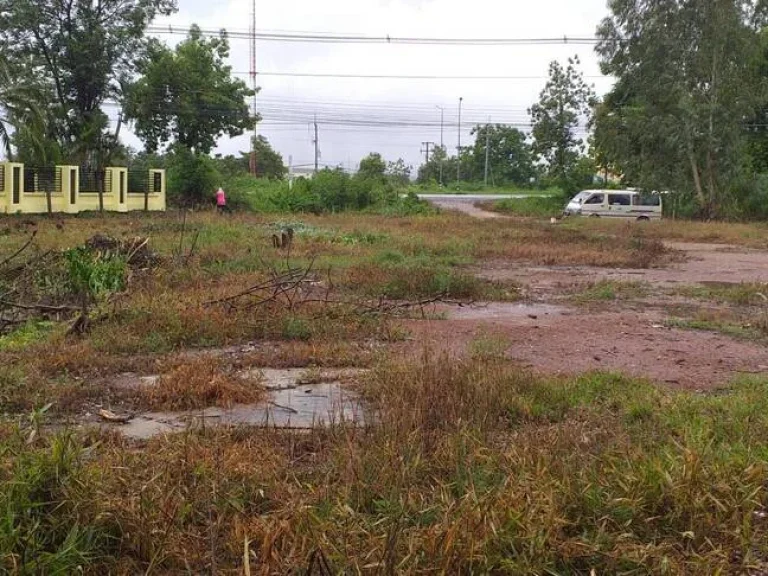 ขายที่ดินติดถนนใหญ่เอเซีย 117 นครสวรรค์-พิษณุโลก โฉนดพร้อมโอน