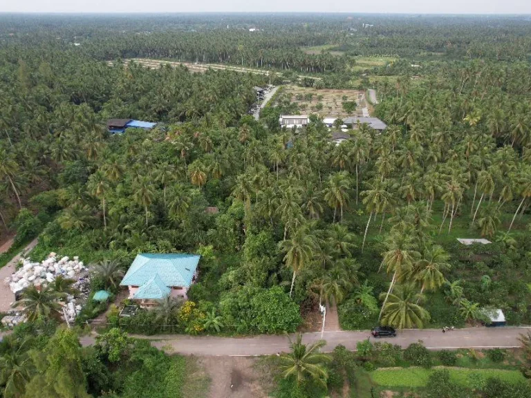 ขายที่ดินสวน 106ตรว ราคาถูก ติดถนนลาดยาง อัมพวา สมุทรสงคราม เหมาะปลูกบ้านสวน รีสอร์ท