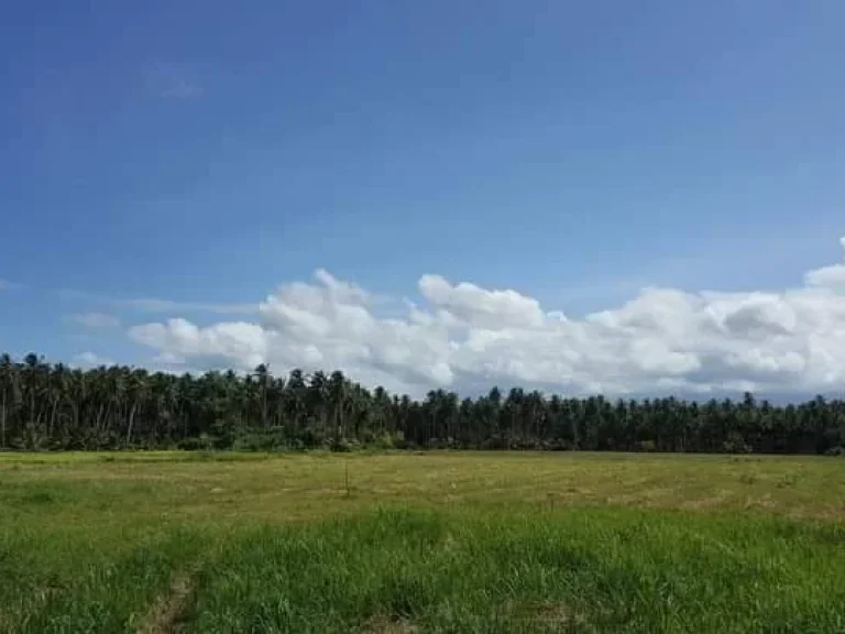 ขายที่ดินเปล่าใกล้หาดบ้านกรูด บางสะพาน ประจวบฯ เนื้อที่ 1 ไร่