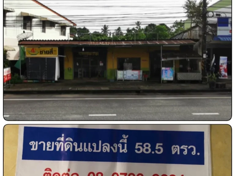 ขายที่ดินติดถนนใหญ่ เส้นหลักเข้า-ออก อำเภอพรหมคีรี